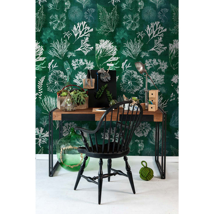 Mind the Gap behang Algae Moss WP20296