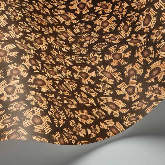 Savanna-Shell-119-4019