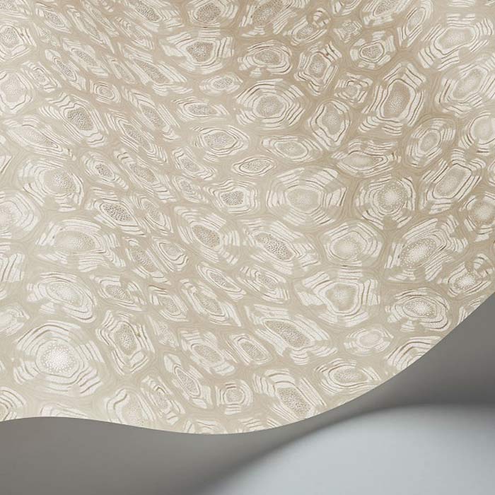 Savanna-Shell-119-4021