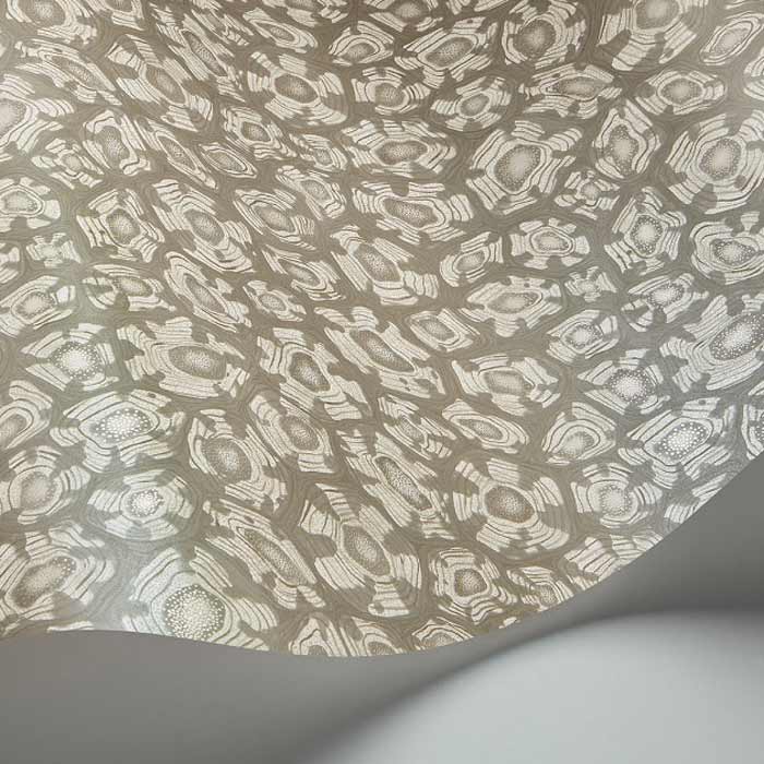 Savanna-Shell-119-4022