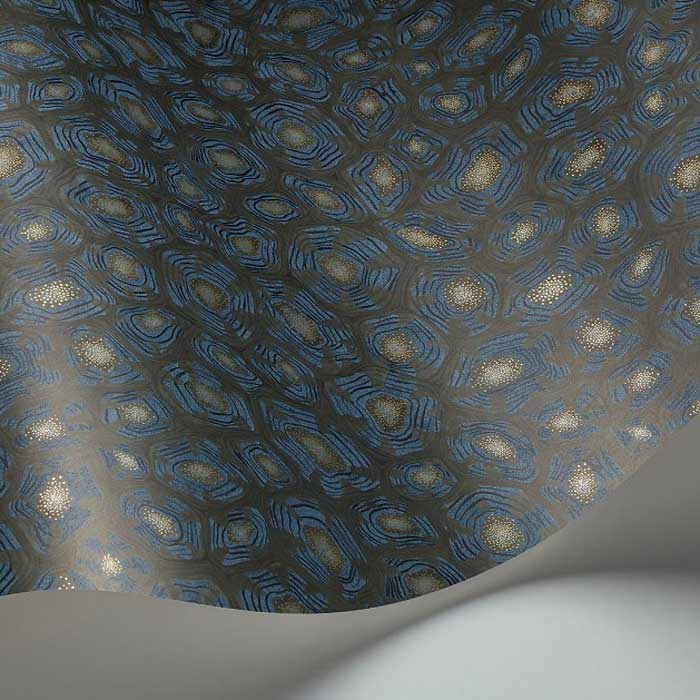 Savanna-Shell-119-4024