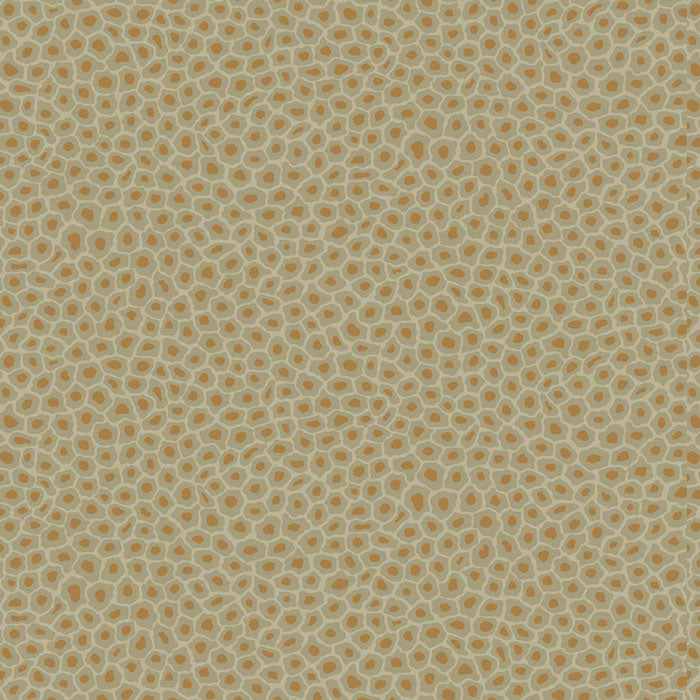 Cole and Son behang Senzo Spot 109-6029