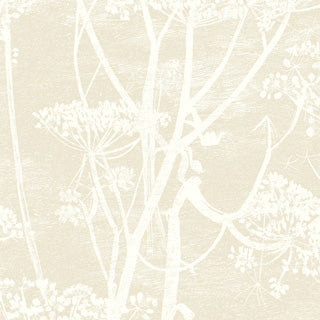 Cole and Son behang - Cow Parsley neutral 95/9051