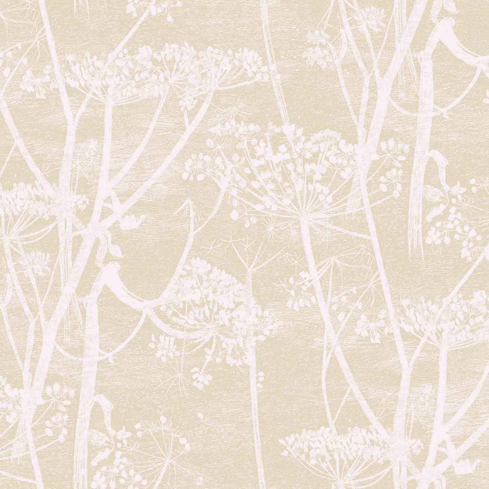 cole and son cow parsley neutral