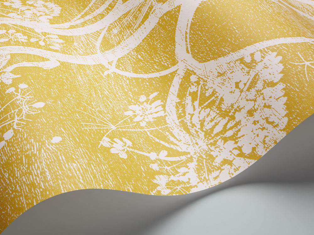 cole and son cow parsley yellow