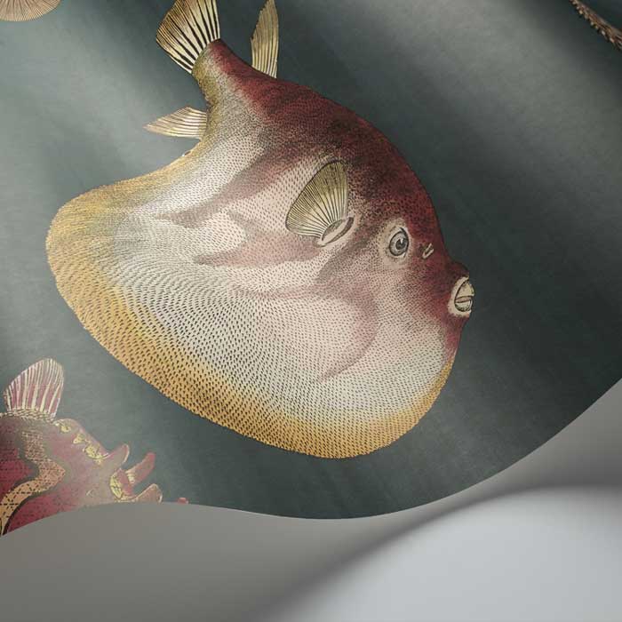 Cole and Son Fornasetti Acquario