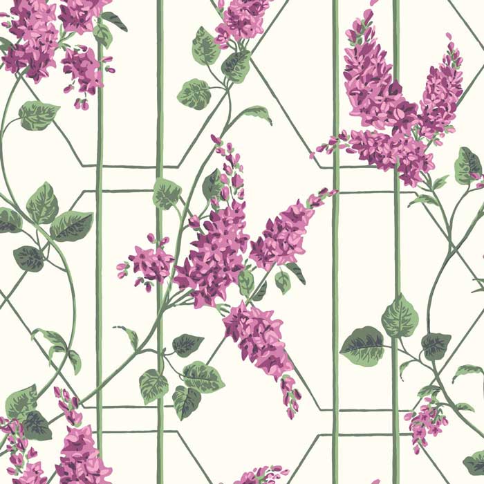 Cole and Son Wisteria Behang 115/5013