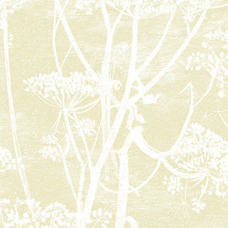 Cole and Son behang - Cow Parsley yellow 95/9053