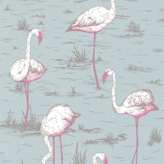 Cole and Son behang - Flamingos blue 66/6044