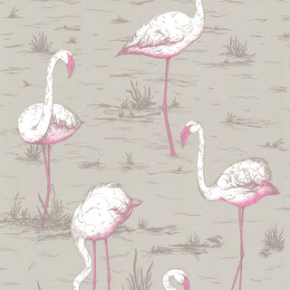 Cole and Son behang - Flamingos sand 66/6042