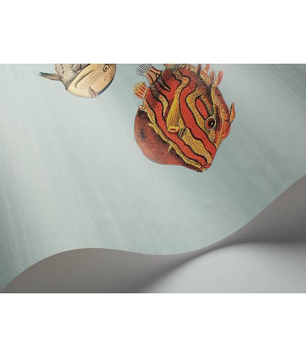 cole & son behang acquario multicolor
