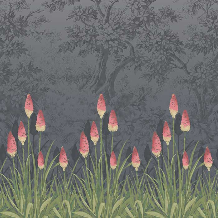 Little Greene Upper brook street Minuit