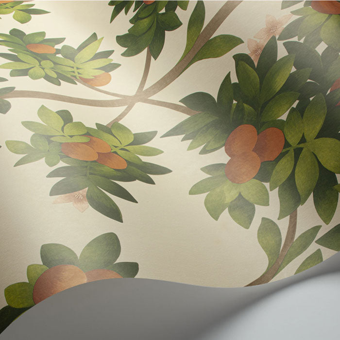 Cole And Son behang Orange Blossom 117/1001