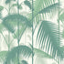 Cole and Son palm jungle