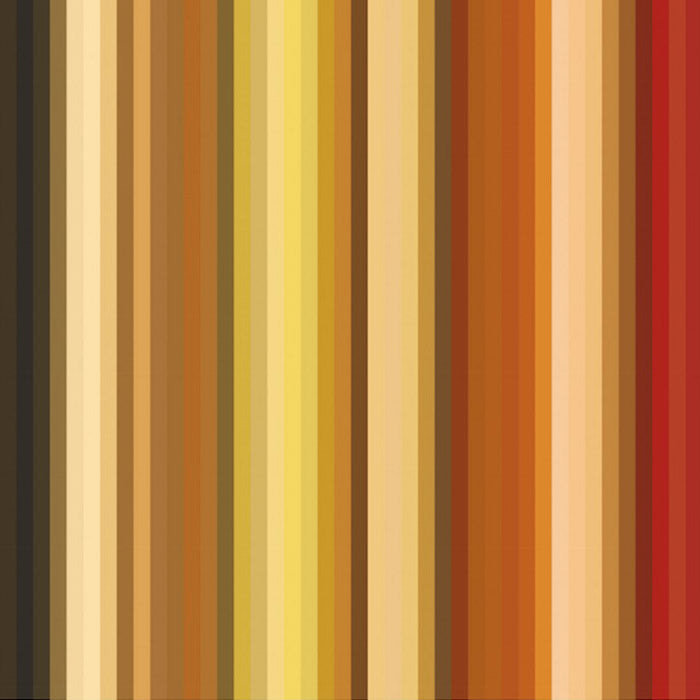 t.e. 216 - Rijksmuseum behang dna 05