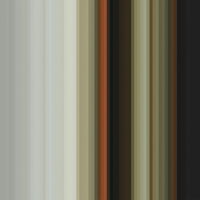 t.e. 216 - Rijksmuseum behang dna 21