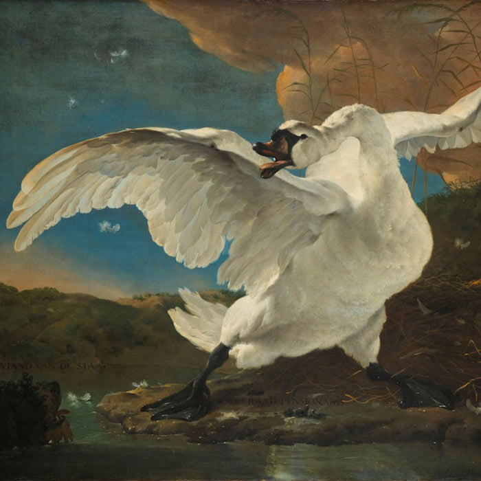 t.e. 216 - Rijksmuseum behang dna 02